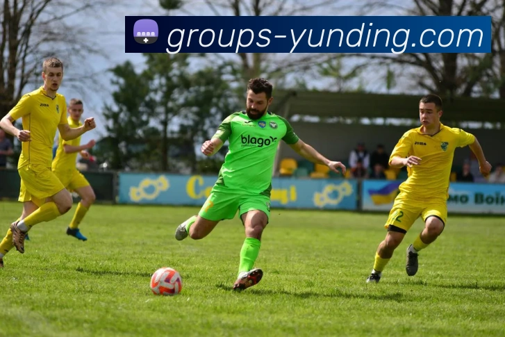 4118云顶官网平台生态图